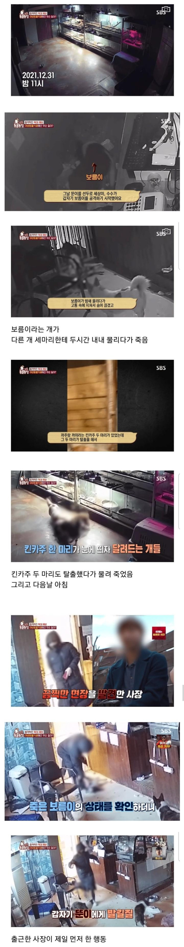 현재 난리난 동물농장에 나온 동물카페 사장