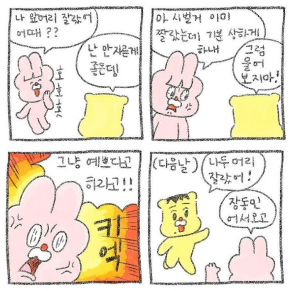 신혼부부 만화