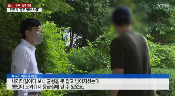 너구리들의 습격