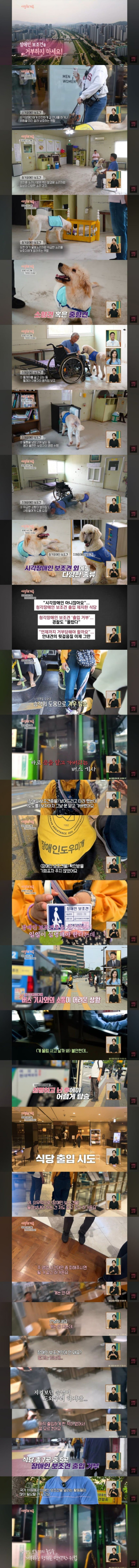 장애인 보조견 동반 출입 현실