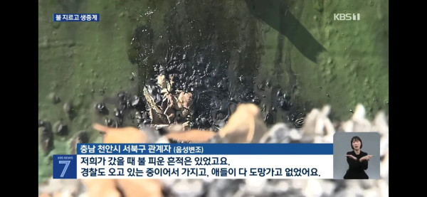 선 넘은 10대들.. 학폭영상에 방화 중계까지