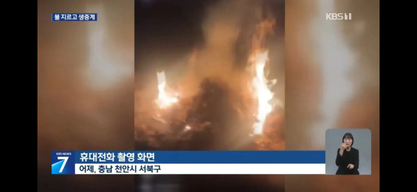 선 넘은 10대들.. 학폭영상에 방화 중계까지