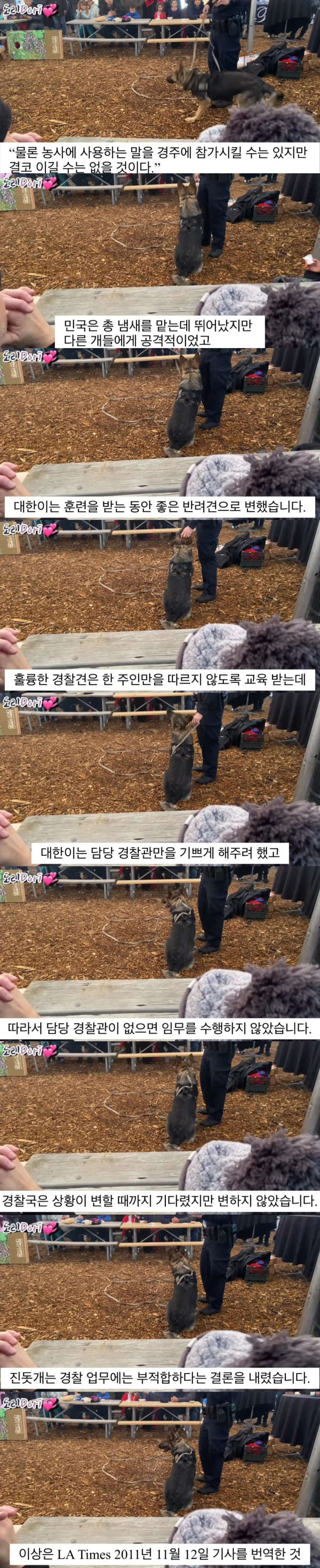 진돗개가 경찰견으로 거부된 이유