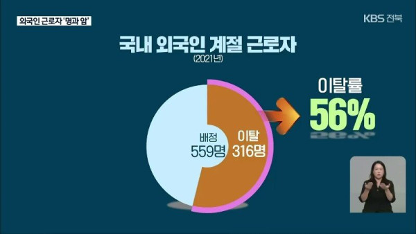 요즘 외국인 노동자들 근황