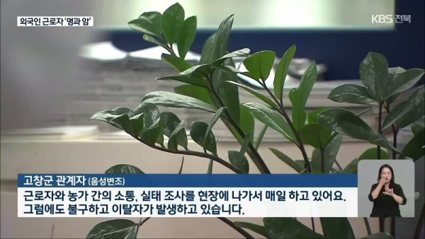 요즘 외국인 노동자들 근황