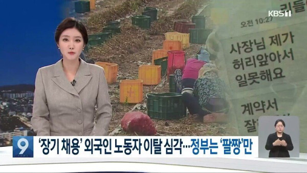 요즘 외국인 노동자들 근황