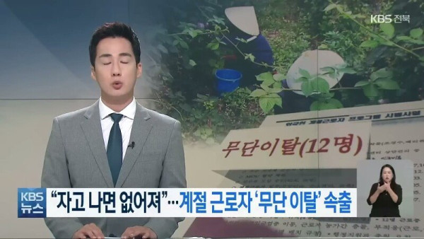 요즘 외국인 노동자들 근황