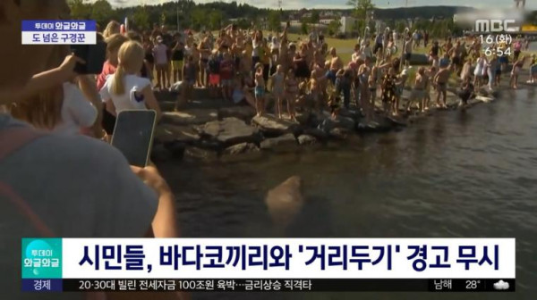 구경꾼 몰린다고 안락사당한 멸종위기종