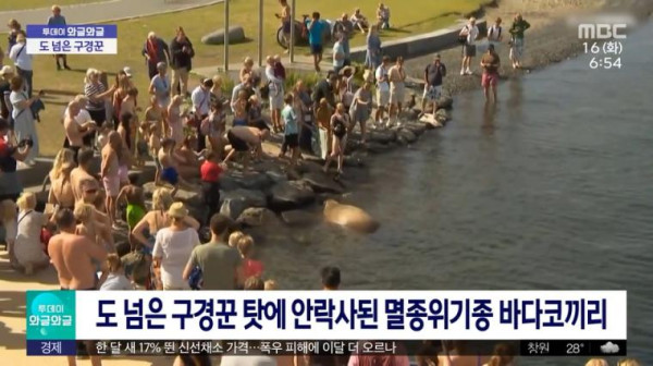 구경꾼 몰린다고 안락사당한 멸종위기종