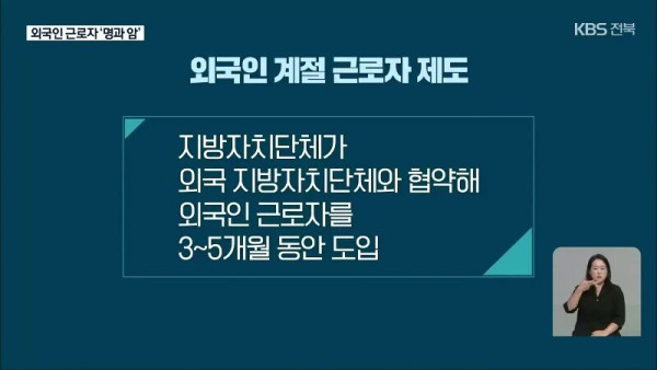 요즘 외국인 노동자들 근황