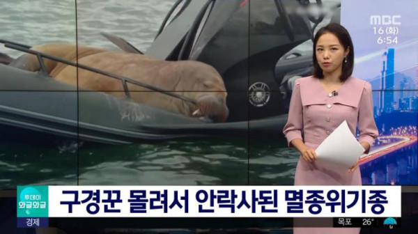 구경꾼 몰린다고 안락사당한 멸종위기종