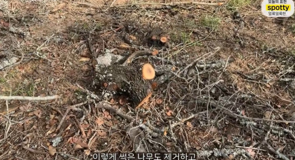 미국에서 독사를 조심해야하는 이유