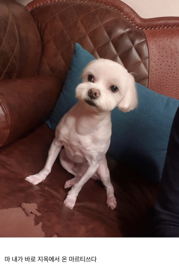 닭가슴살 먹고 벌크업 후기
