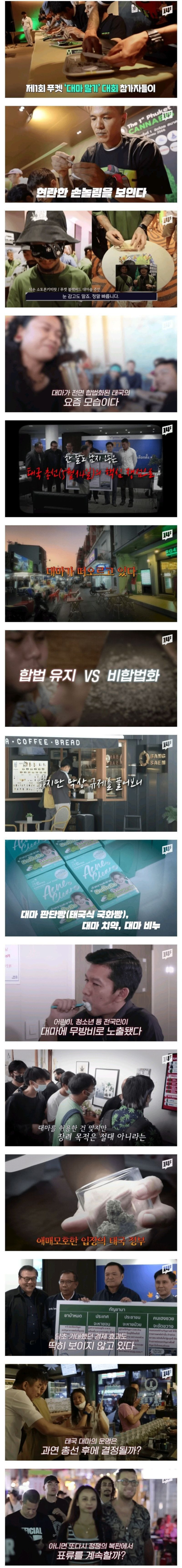 대마 합법화된 태국 상황