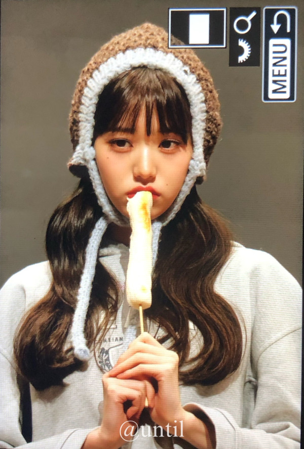 판싸 아이브 장원영