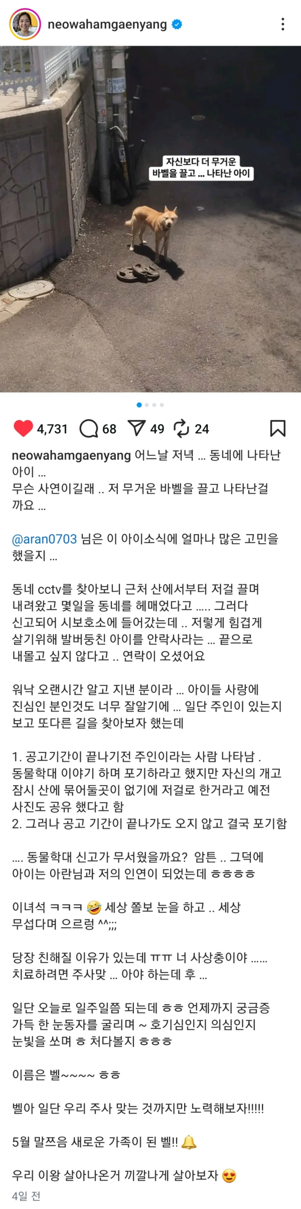 산에서 30KG 쇳덩이 끌고 내려온 강아지