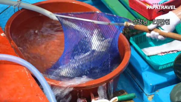 해외에서 유명하다는 홍도 유람선 횟집