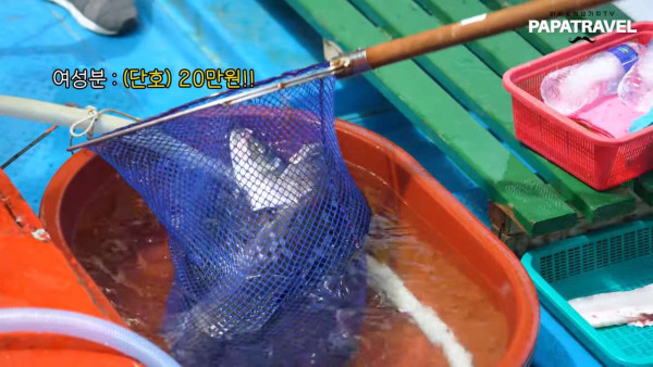 해외에서 유명하다는 홍도 유람선 횟집