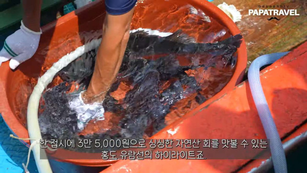 해외에서 유명하다는 홍도 유람선 횟집