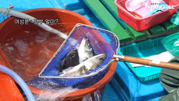 해외에서 유명하다는 홍도 유람선 횟집