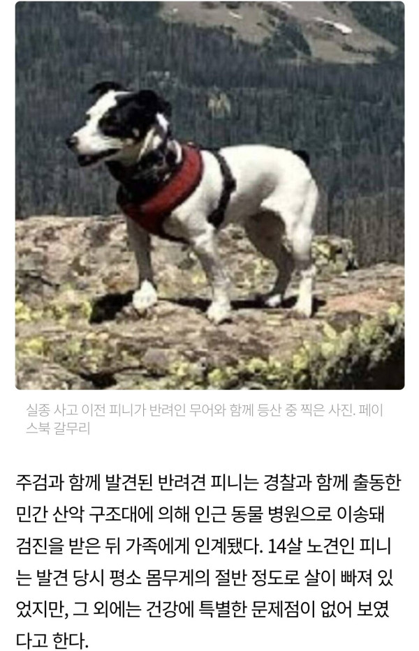 숨진 주인 곁을 지킨 반려견