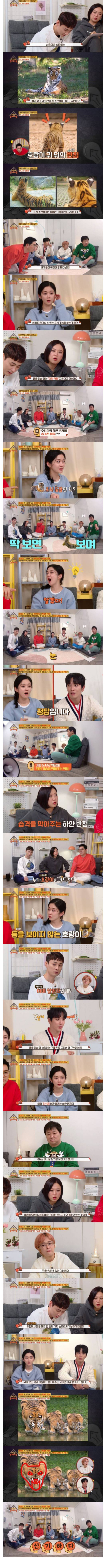 호랑이 귀뒤의 반점 비밀