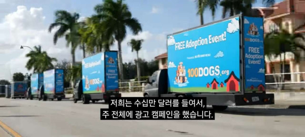 유기견 100마리 입양보내기 프로젝트