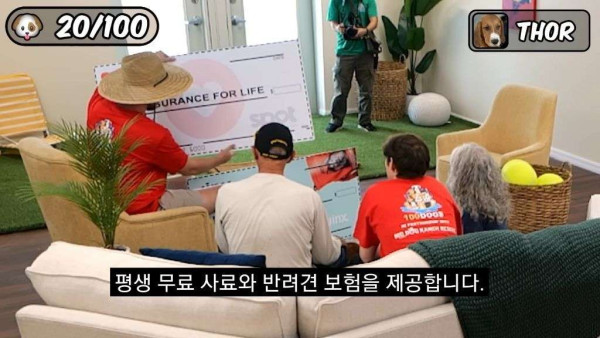 유기견 100마리 입양보내기 프로젝트