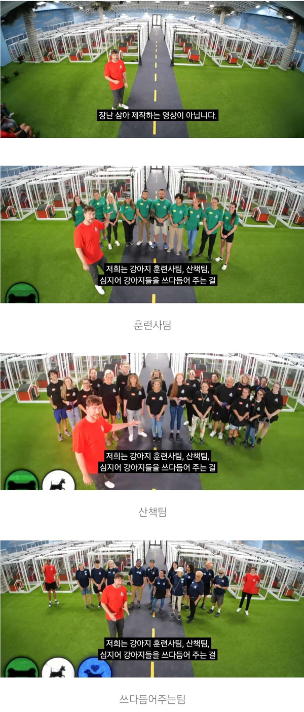 유기견 100마리 입양보내기 프로젝트