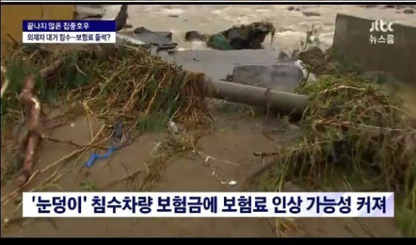 침수 외제차 2500대 나비효과로 보험료 인상