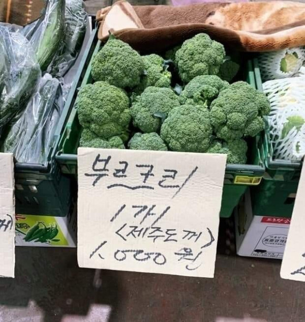 한글 표기가 쉽지않은 채소 류 원탑