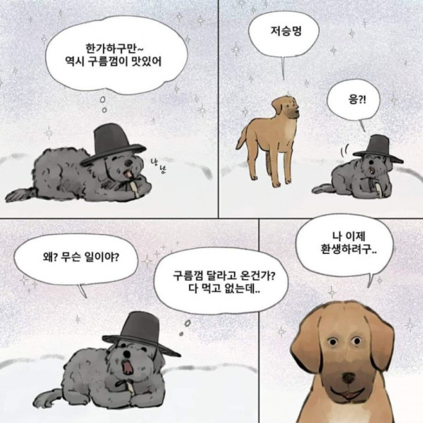 먼저 죽은 개가.. 주인을 기다린다면??