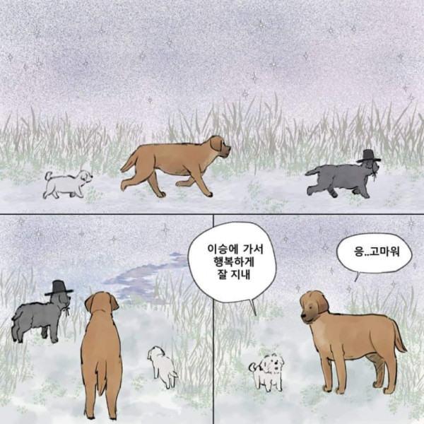 먼저 죽은 개가.. 주인을 기다린다면??