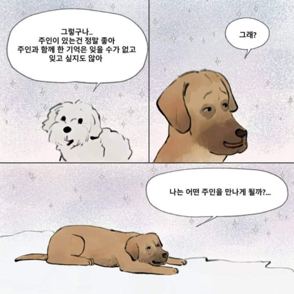 먼저 죽은 개가.. 주인을 기다린다면??