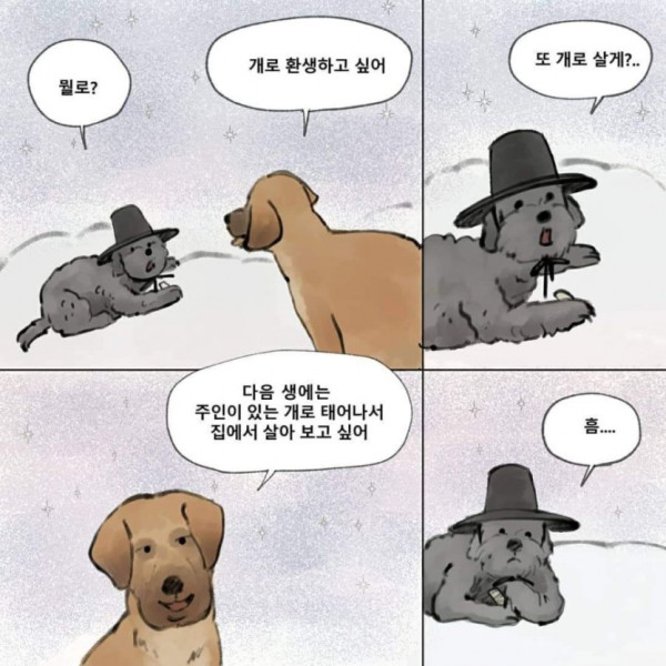 먼저 죽은 개가.. 주인을 기다린다면??
