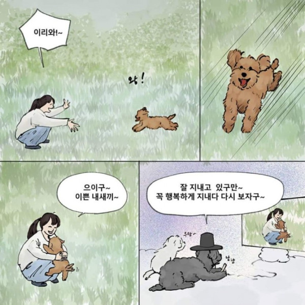 먼저 죽은 개가.. 주인을 기다린다면??