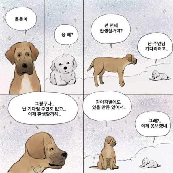 먼저 죽은 개가.. 주인을 기다린다면??