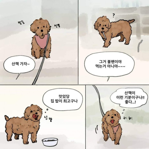 먼저 죽은 개가.. 주인을 기다린다면??