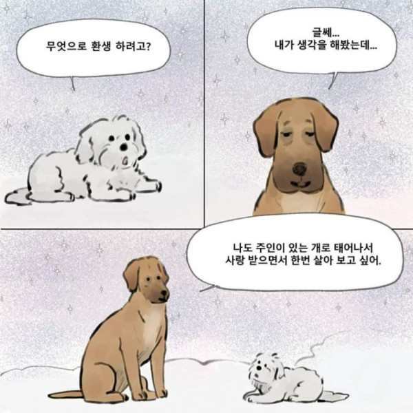 먼저 죽은 개가.. 주인을 기다린다면??