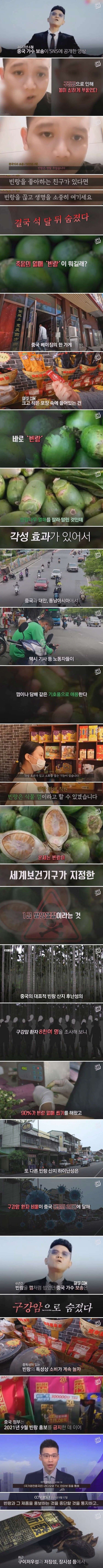 구강암을 유발하는 죽음의 열매 빈랑
