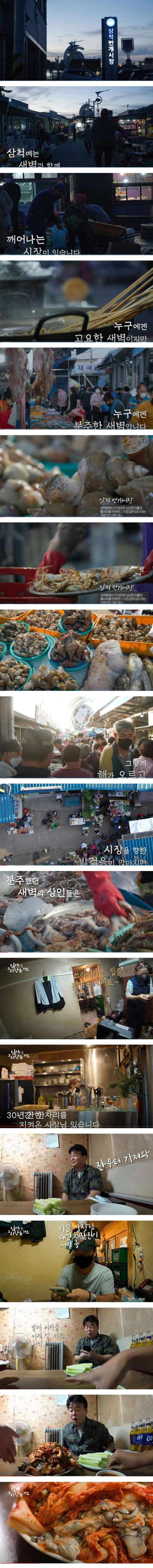 백종원 입 떠억 벌어지게 한 삼척 문어파는 집