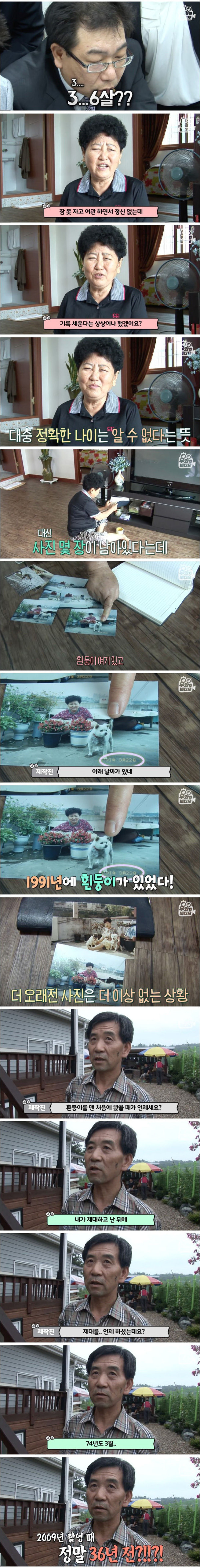 36살 까지 살고 있다는 강아지