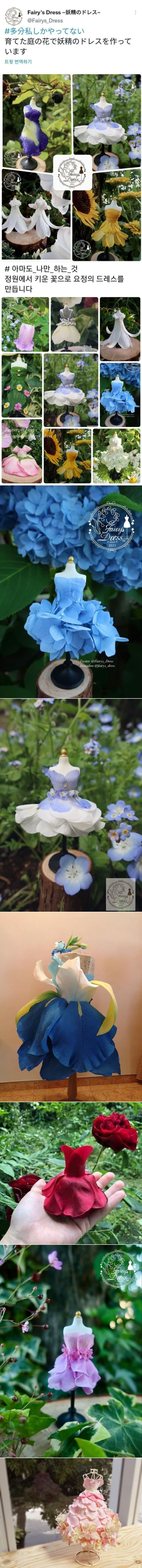 봄이오면 꽃잎으로 할수있는 놀이