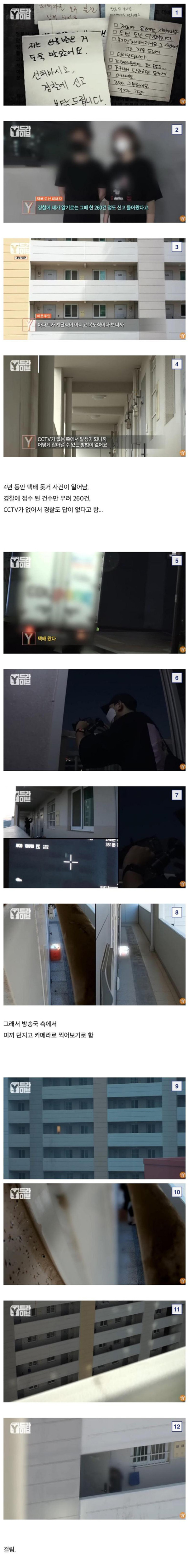 냉혹한 택배도둑의 세계