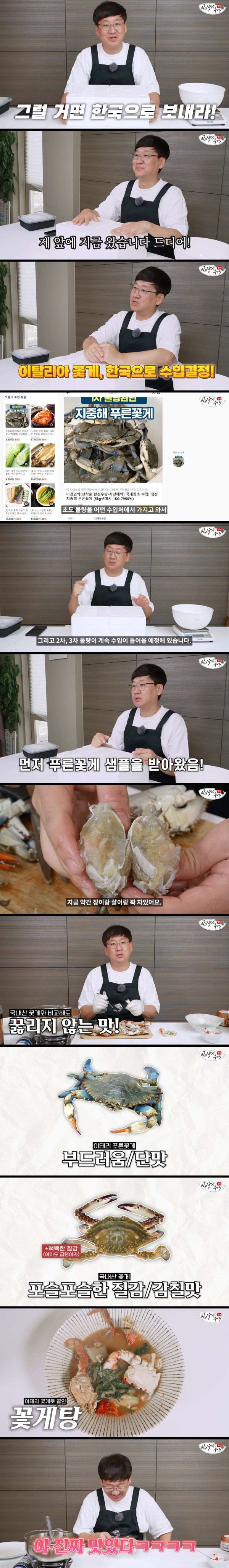한국으로 정식 수입된 이태리 푸른꽃게