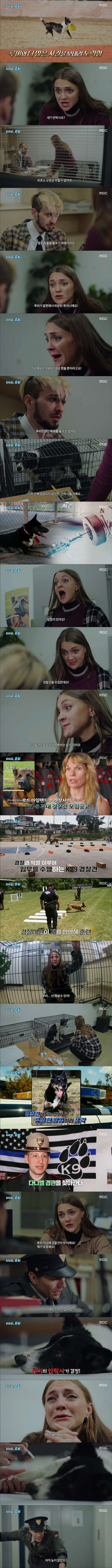 안락사 직전에 구출 된 멍멍이의 보은