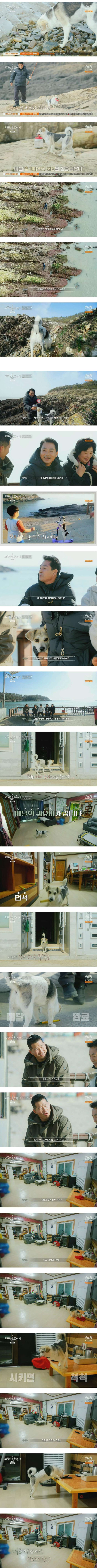 강형욱도 깜짝 놀란 해삼 자동사냥 댕댕이