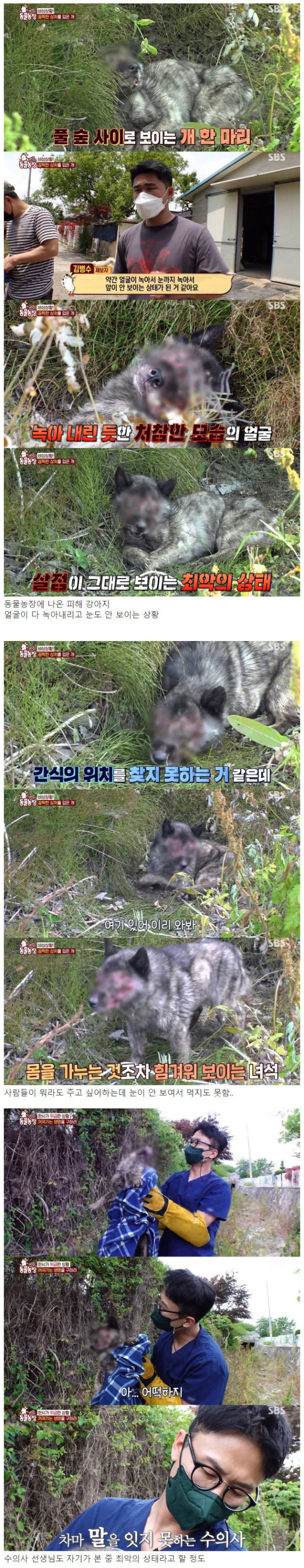 동물농장에서 제보받고 있는 끔찍한 사건