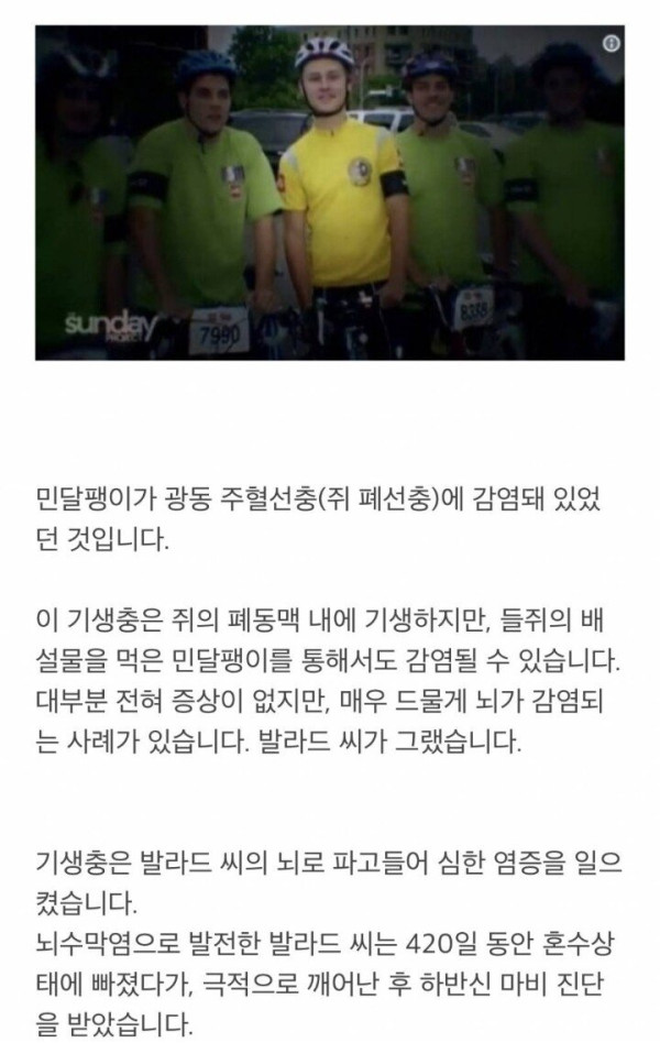 민달팽이 먹은 충격적인 결과