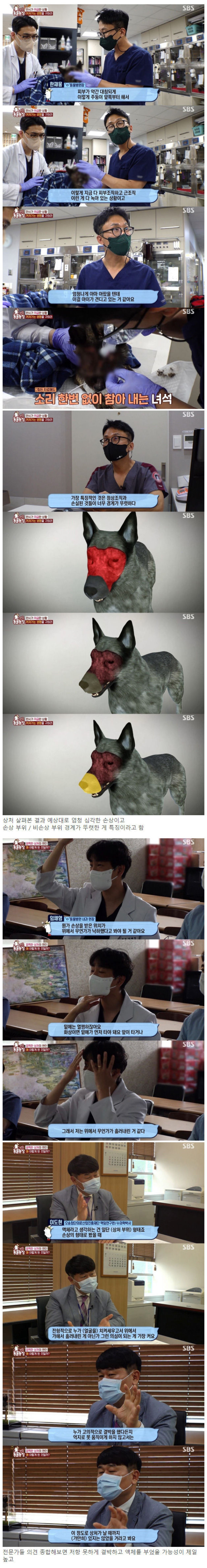 동물농장에서 제보받고 있는 끔찍한 사건